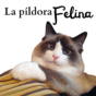 Presentación del Podcast