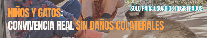 Curso sólo para usuarios registrados