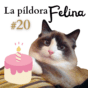 20. Adaptación mútua: Pupusito es el amo