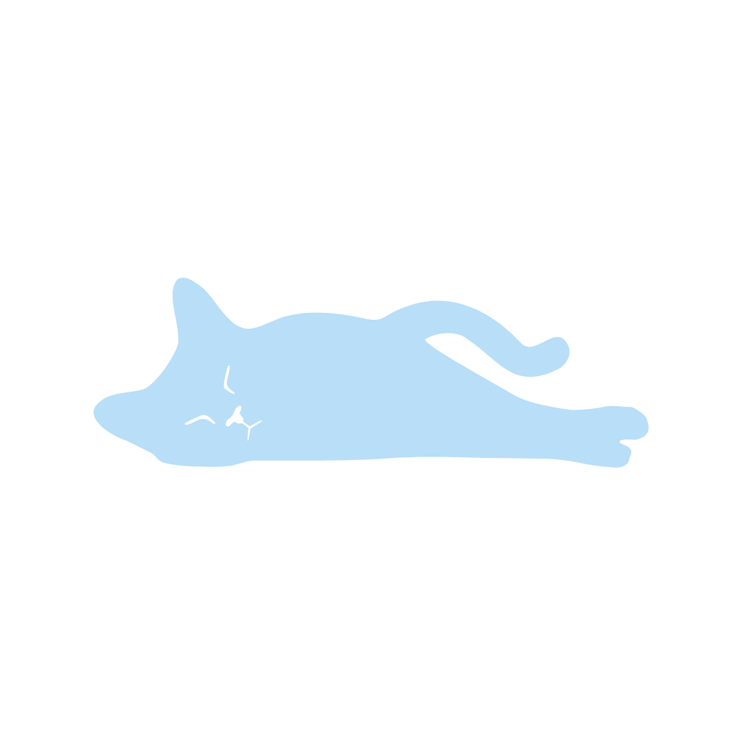 Cuidados post operatorios en gatos