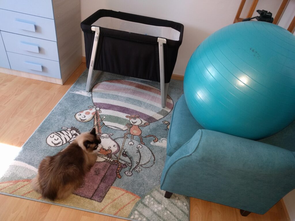 490. Mi embarazo junto a Pupusito y MI MIEDO en el parto 2 Las reformas en casa antes de que llegara Kai fuero del agrado de nuestro amo y señor Pupusito ^_^'