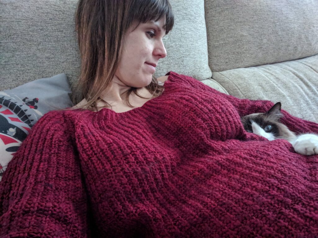 490. Mi embarazo junto a Pupusito y MI MIEDO en el parto 3 Vivir el embarazo junto a tu gato es precioso